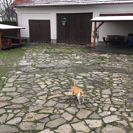 Ubytovani V Soukromi U Volneho Příbor Exterior foto