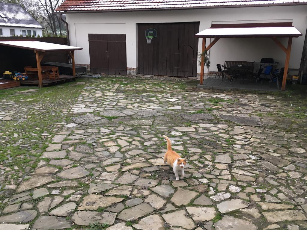 Ubytovani V Soukromi U Volneho Příbor Exterior foto